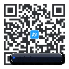 系统版 iOS 二维码
